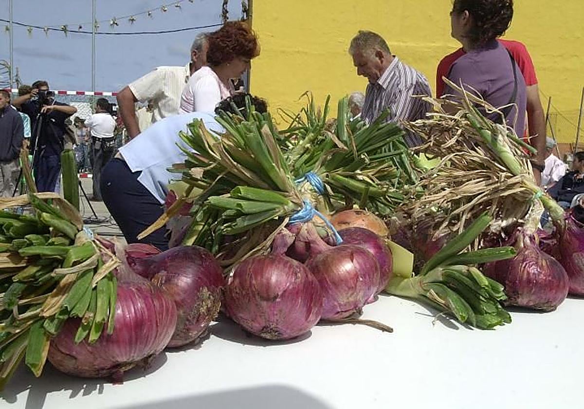Cebollas de Piso Firme expuestas en una Fiesta de la Cebolla de Gáldar.