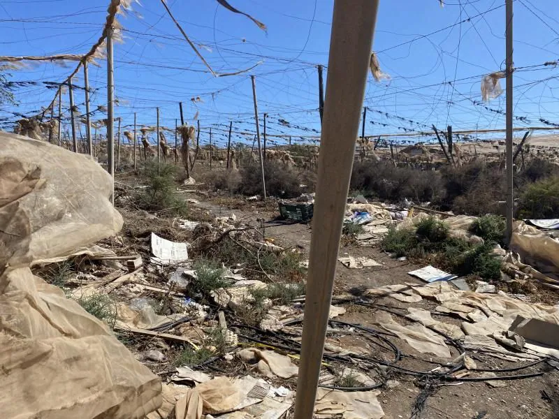 Invernaderos abandonados del sureste.