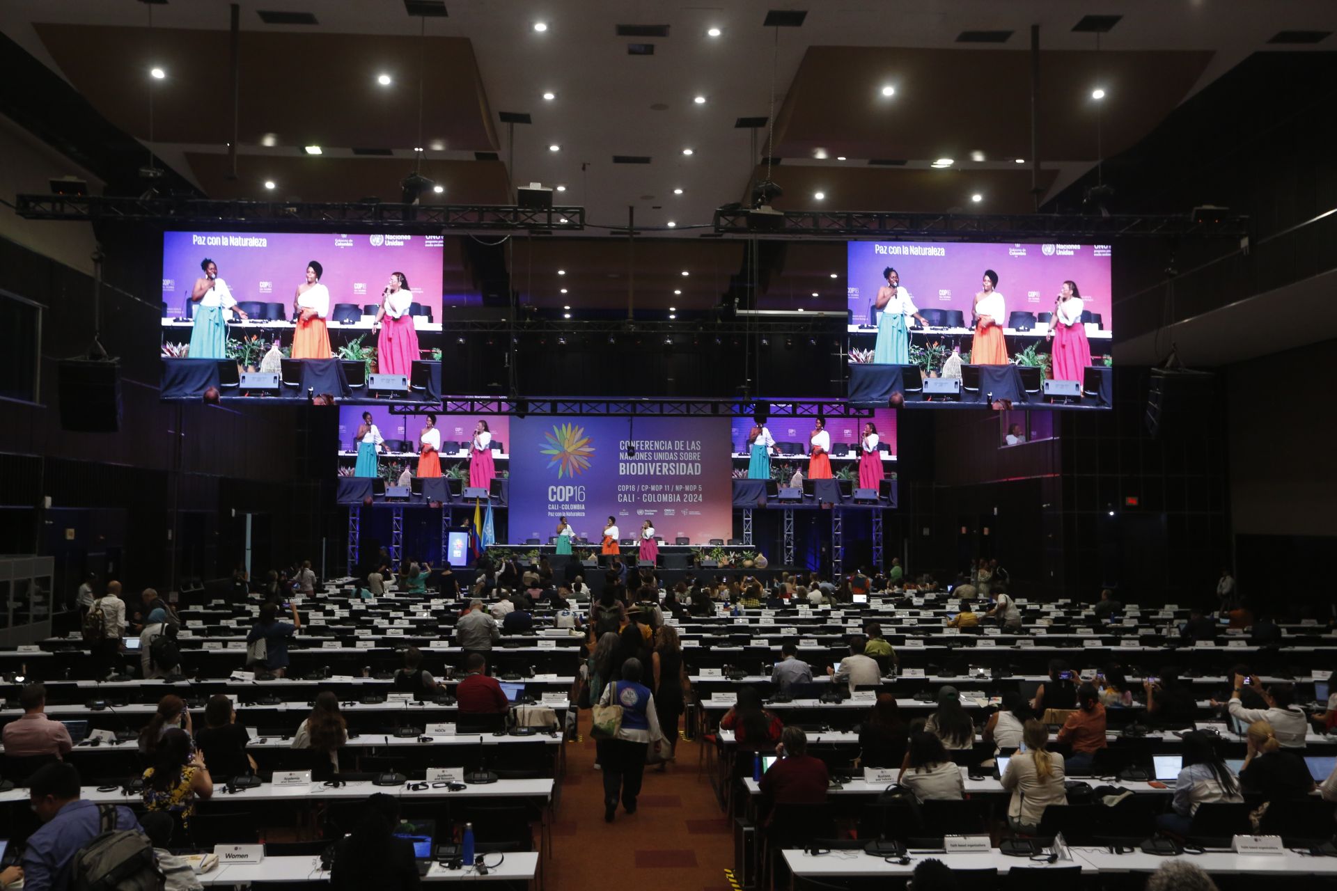 ¿Quién pagará el coste? COP29-COP16