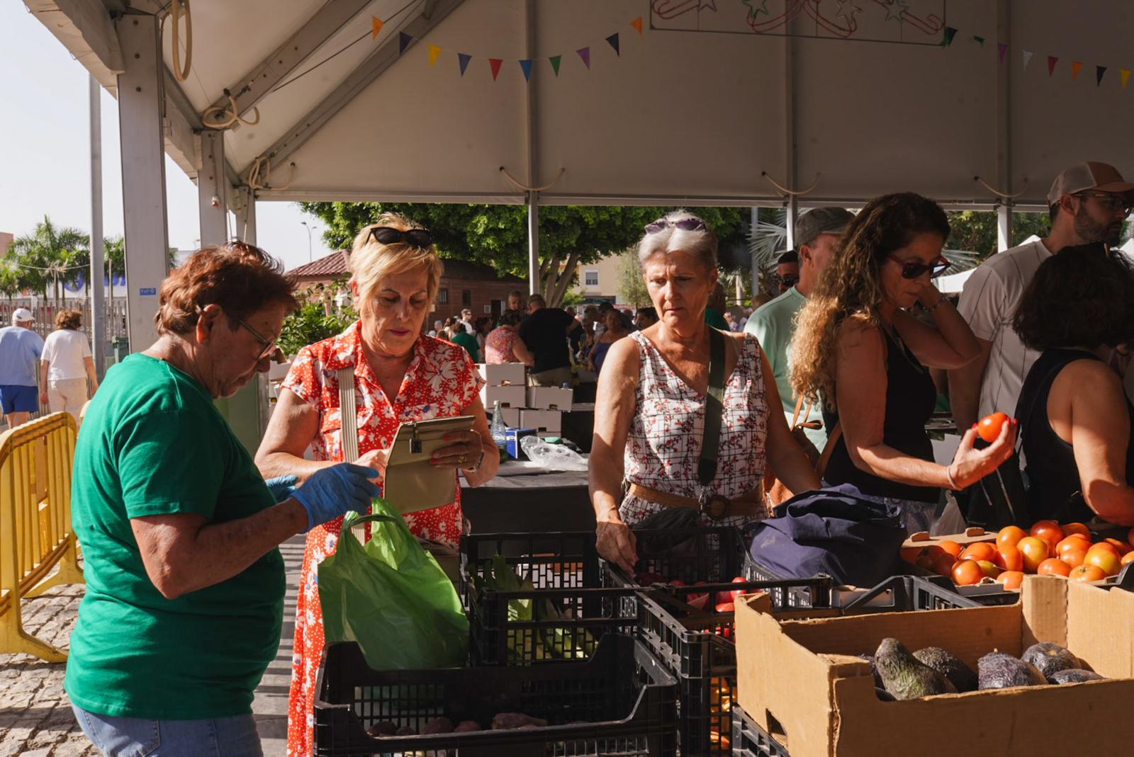 La IX Feria del Aguacate vuelve a Mogán