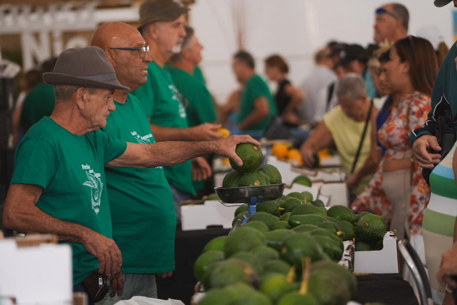 La IX Feria del Aguacate vuelve a Mogán