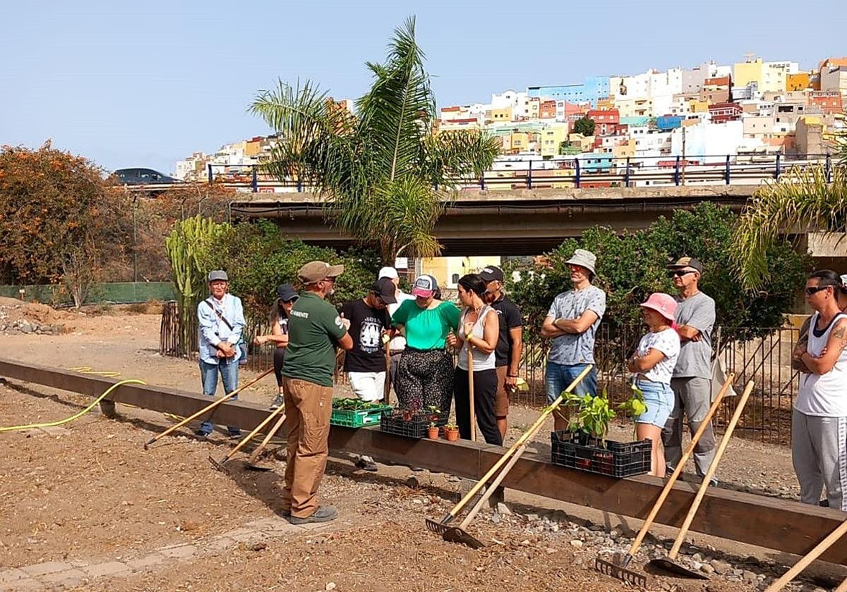 Imagen de una actividad llamada 'Huertos en tu hogar' realizada en el centro de El Pambaso