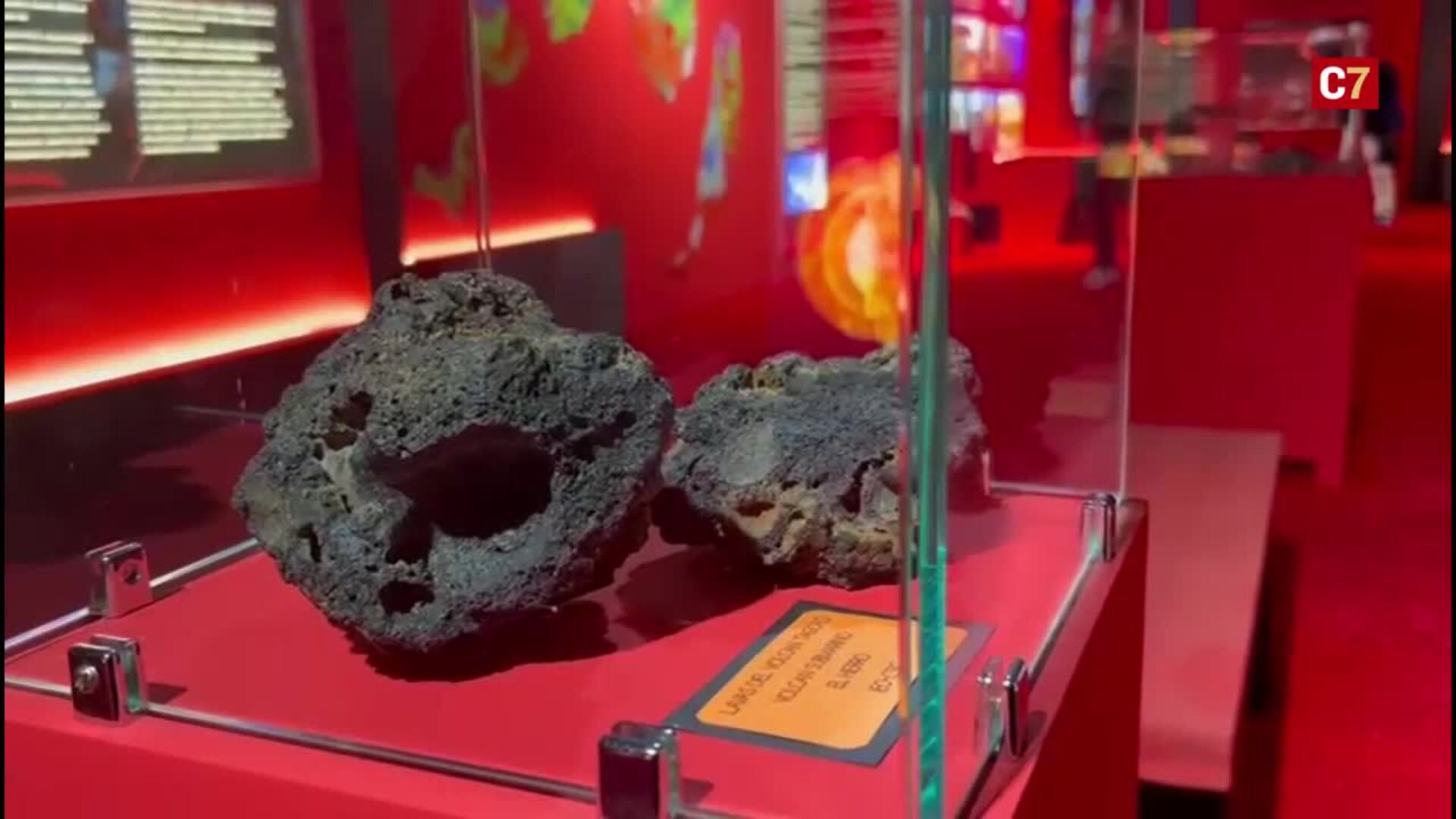 El Museo Elder cumple 25 años