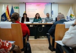 La Fecam discrepa de la regulación que pretenden los 13 municipios turísticos