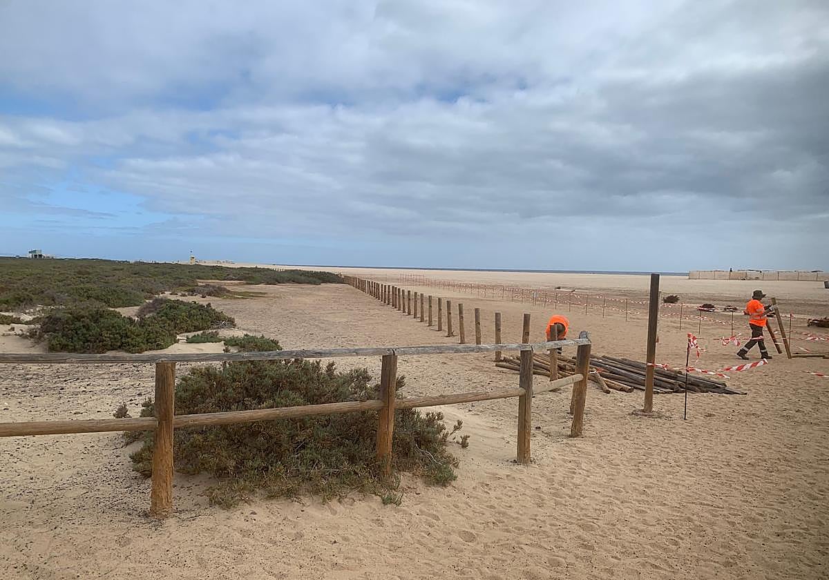 Protection for the Jandía Salt Marsh