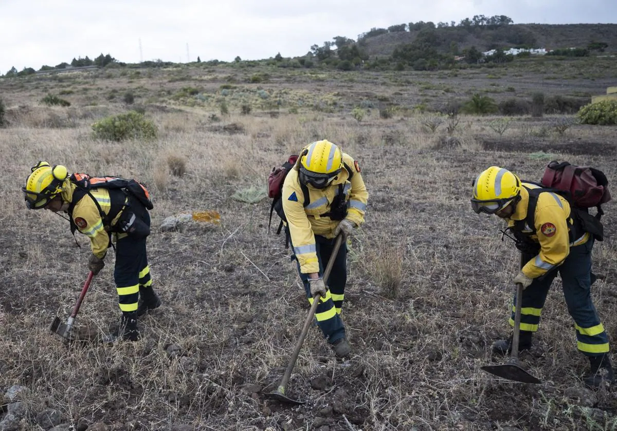 Foto de archivo de un simulacro de cara a un incendio forestal.