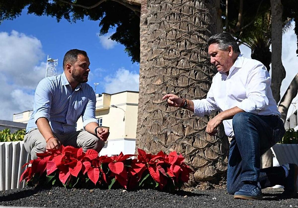 Alcalde y concejal supervisando la presencia de flores de pascua en una zona ajardinada.