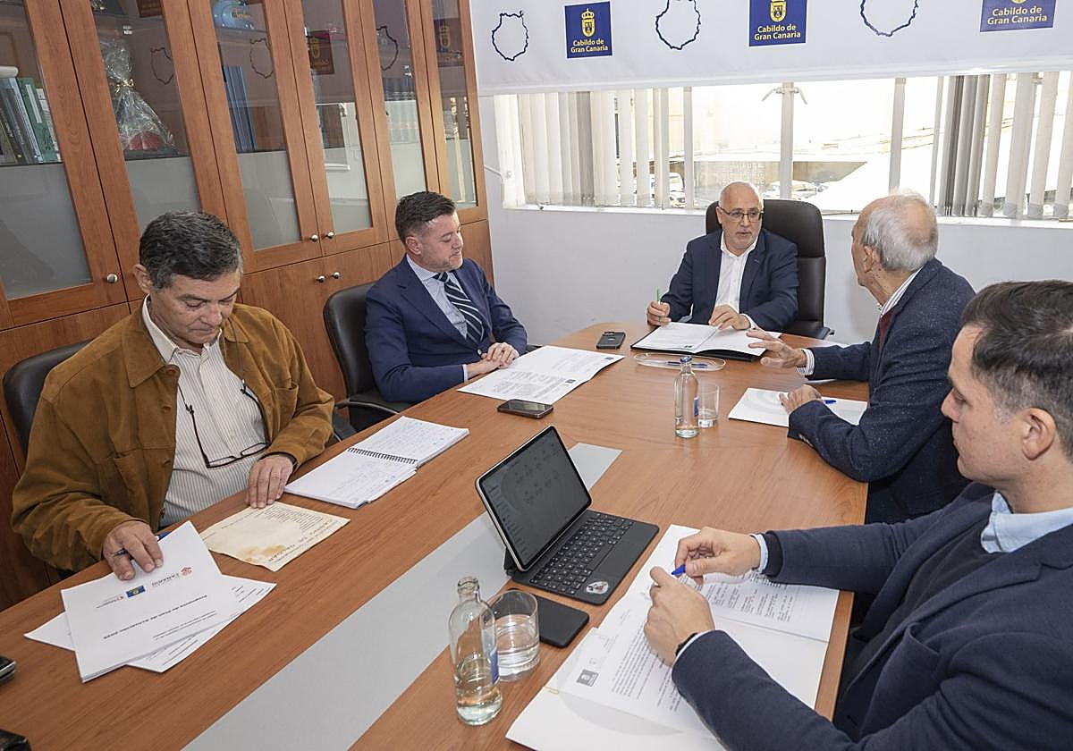 Un momento de la reunión de este miércoles entre el Cabildo y el Museo Canario.