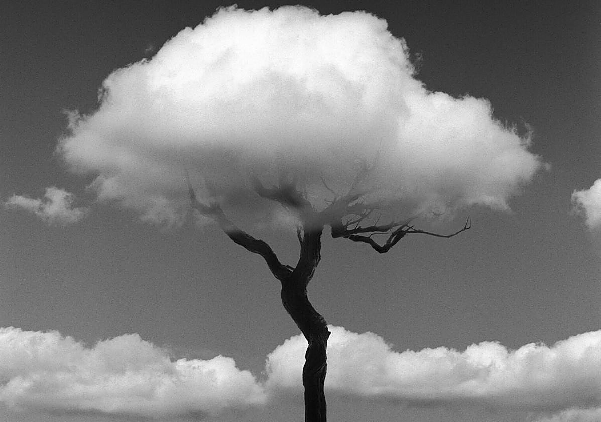 The first exhibition of Chema Madoz in the Canary Islands is open for visit in Fuerteventura.