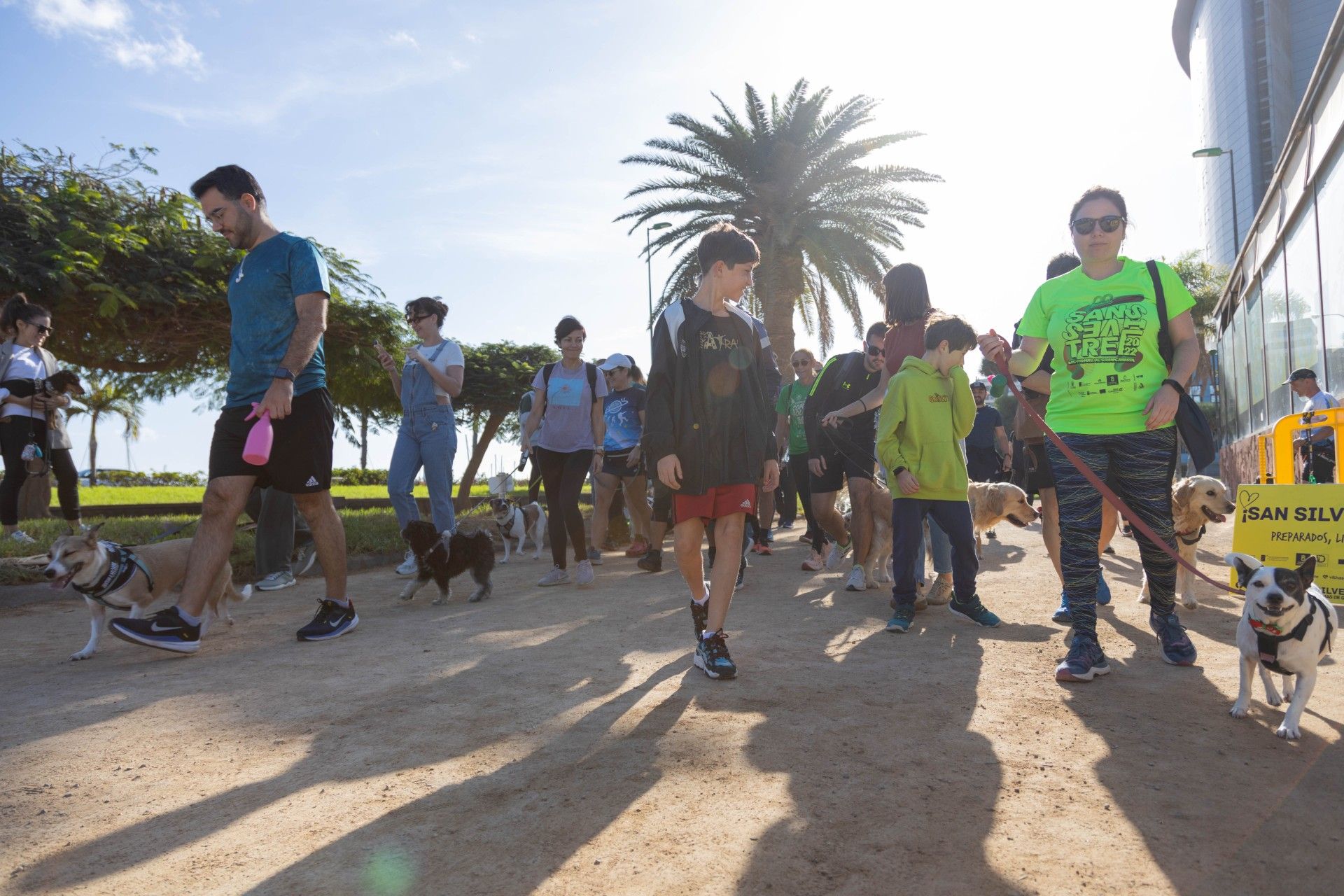 Primer &#039;Dog Training&#039; San Silvestre