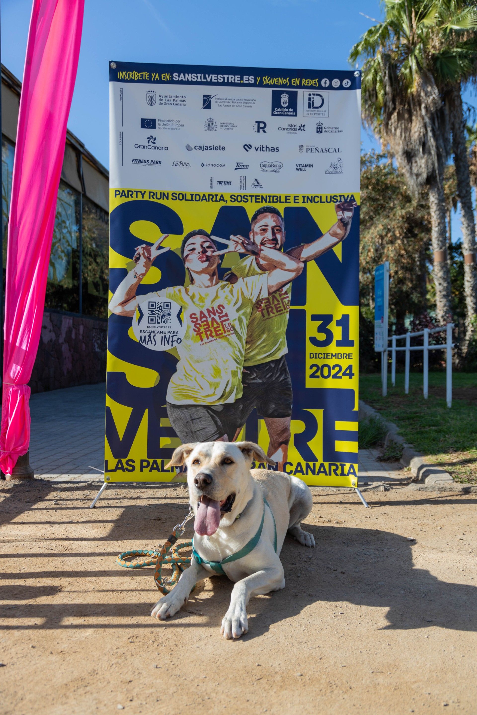 Primer &#039;Dog Training&#039; San Silvestre