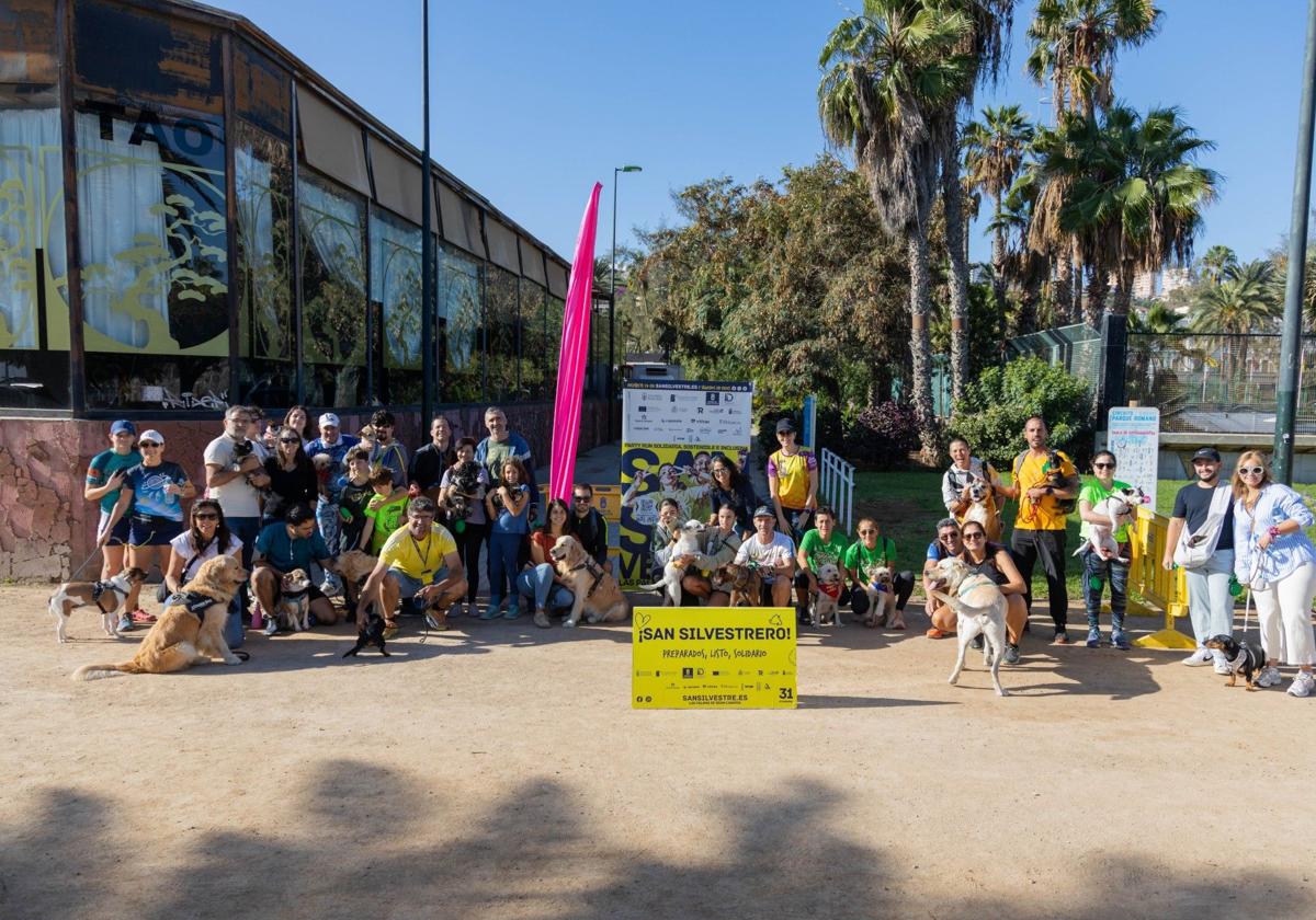 Primer &#039;Dog Training&#039; San Silvestre