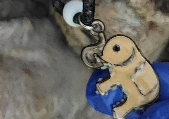 Misterio en Vegueta: piden ayuda para identificar el cadáver que apareció flotando en el mar