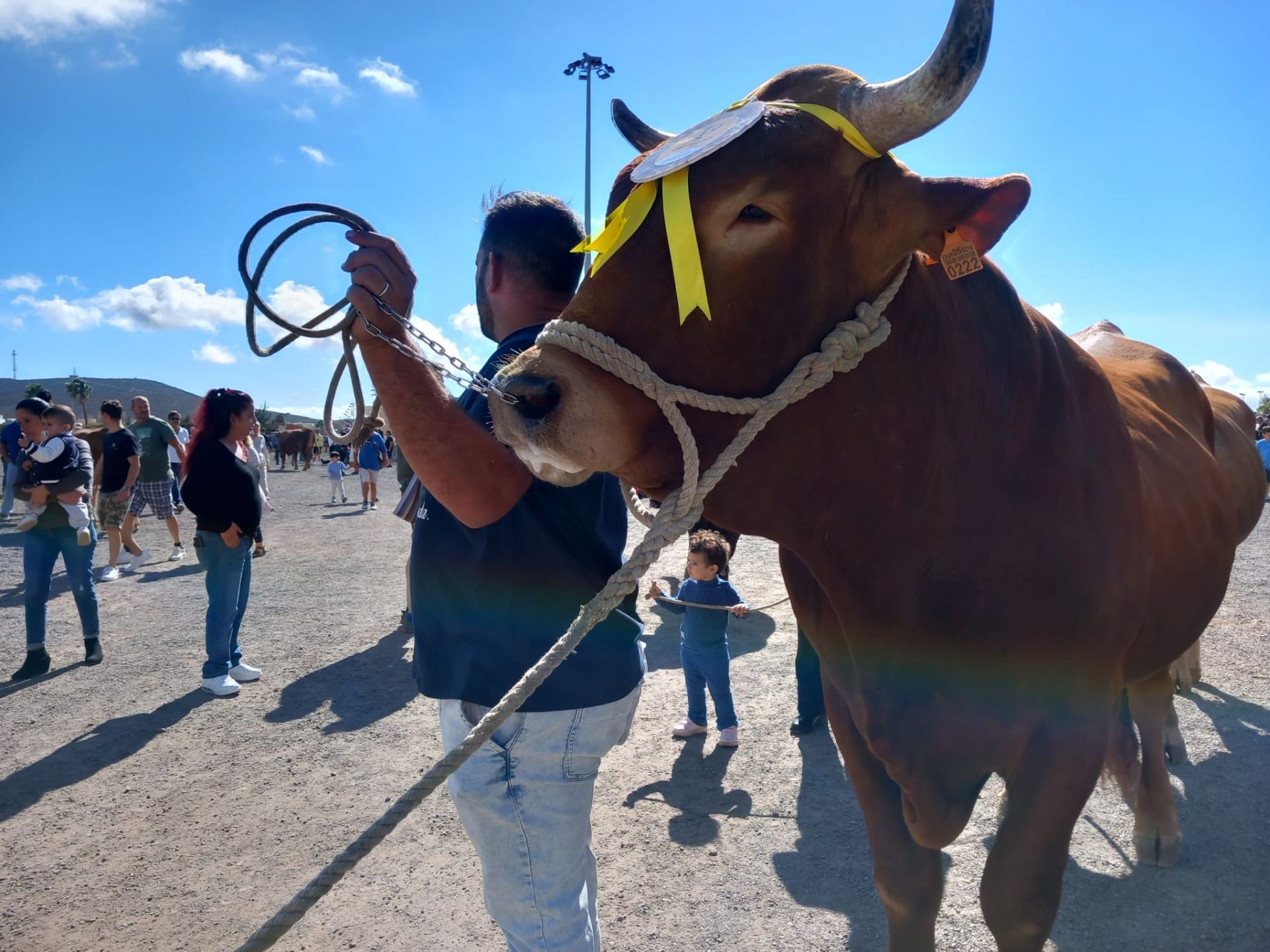 Día grande de San Sebastián en Agüimes