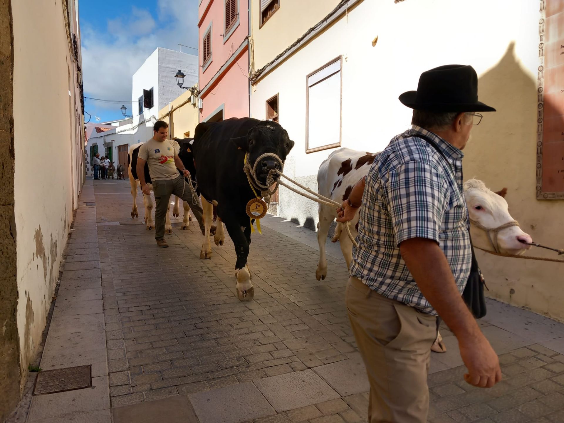 Día grande de San Sebastián en Agüimes