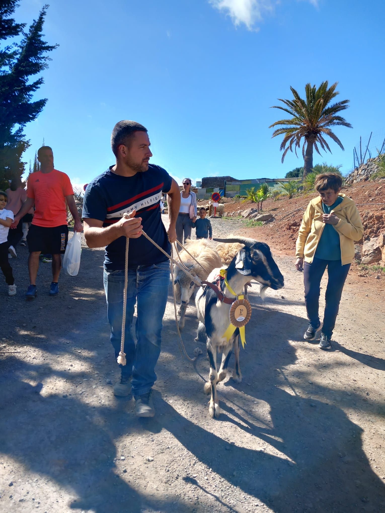 Día grande de San Sebastián en Agüimes