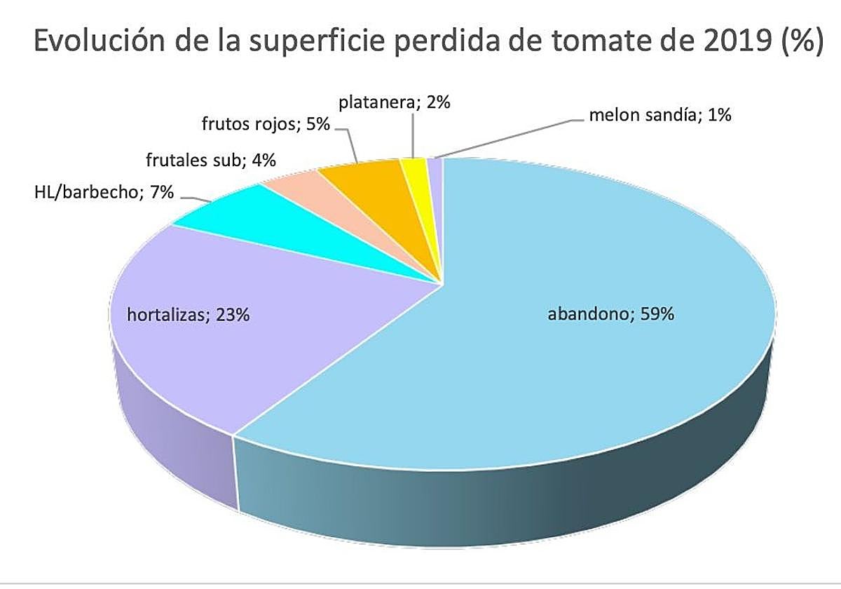 Gráfico del uso agrícola de los terrenos que ya no se plantan con tomateras.