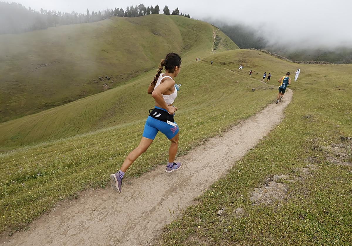 Imagen de archivo de la prueba.