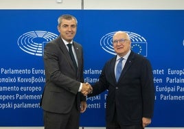 El vicepresidente del Gobierno de Canarias, Manuel Domínguez, junto al eurodiputado del Partido Popular Javier Zarzalejos.