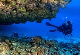 Submarinismo en los fondos que rodean a la Isla de Lobos.