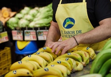 Plátano de Canarias mantiene la preferencia de los hogares en España