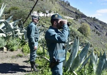 Diez motoristas denunciados por circular por un paisaje protegido en Tenerife