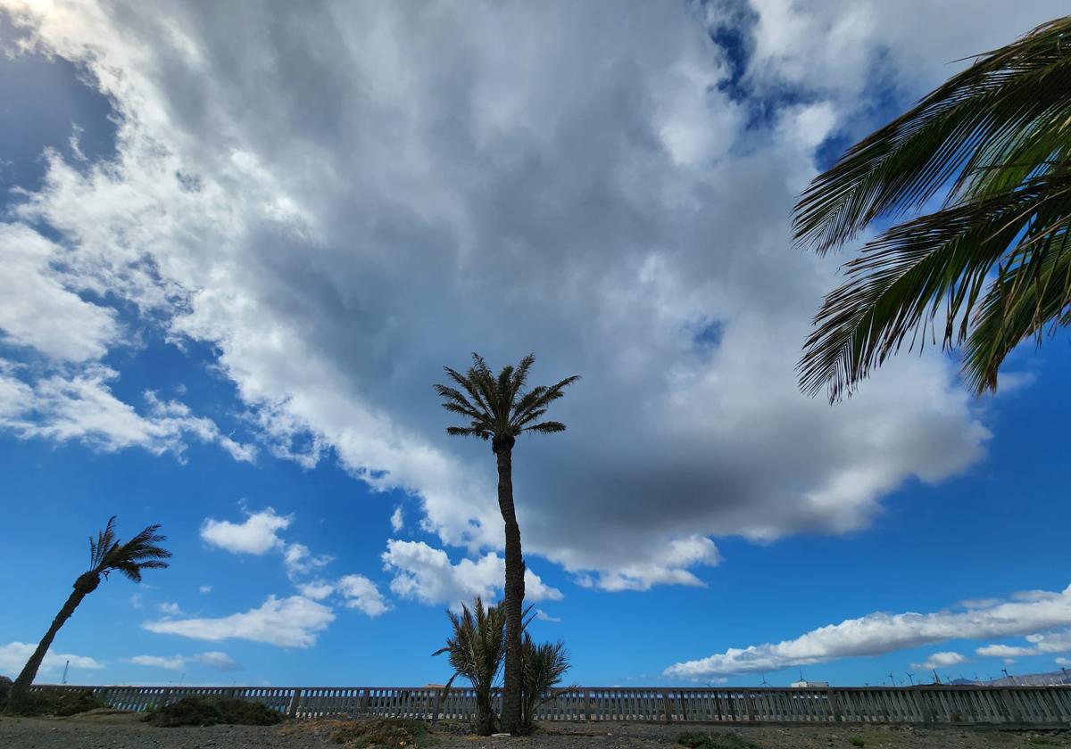 Nubosidad, calor y viento en el sureste grancanario.