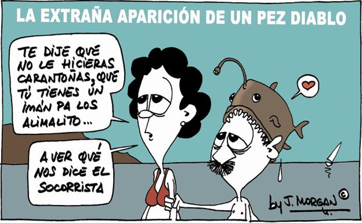 La viñeta de Morgan de este lunes 17 de febrero