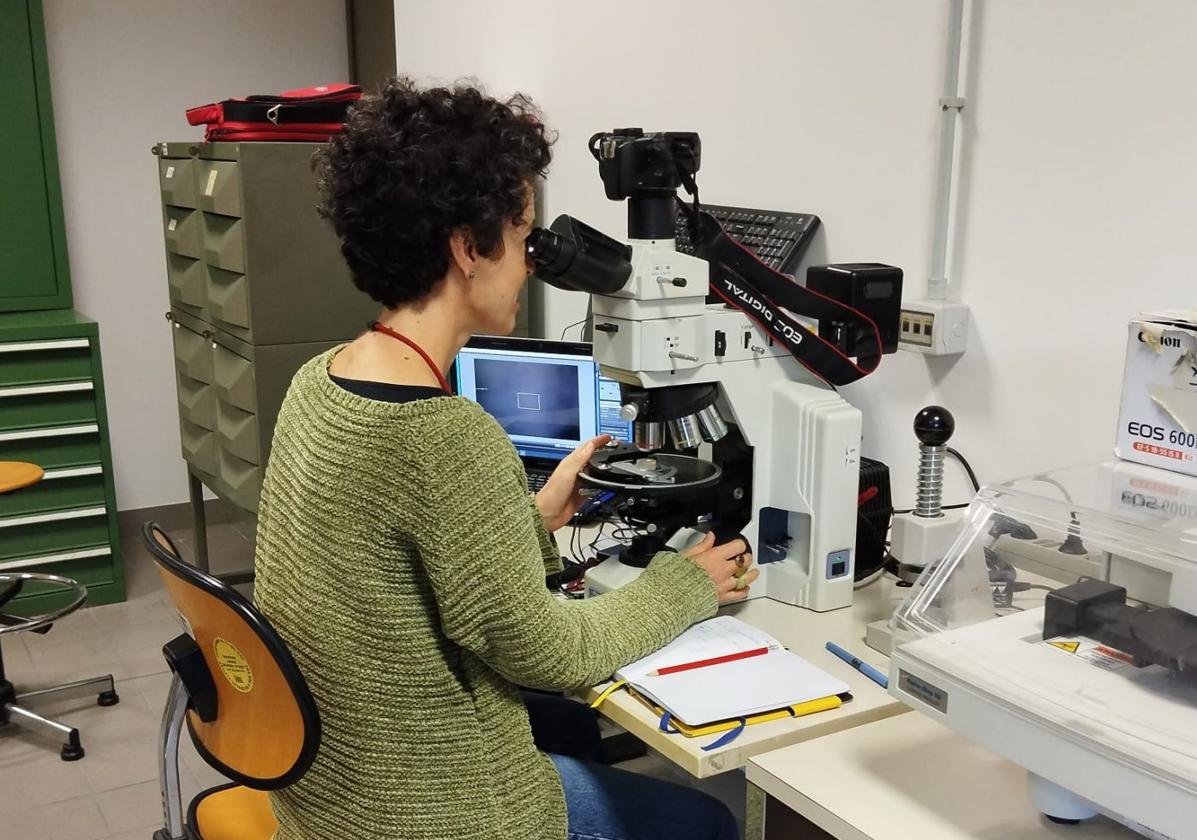 Isolina Díaz-Ramos analiza en Italia, en el microscopio, las muestras de las fachadas de la capital grancanaria y Guía.