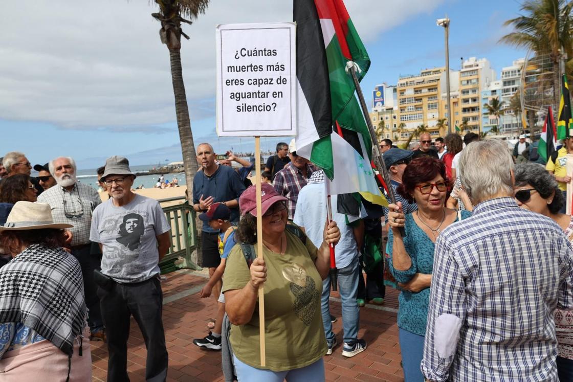 Manifestación contra la guerra, en defensa de la paz y del pueblo palestino