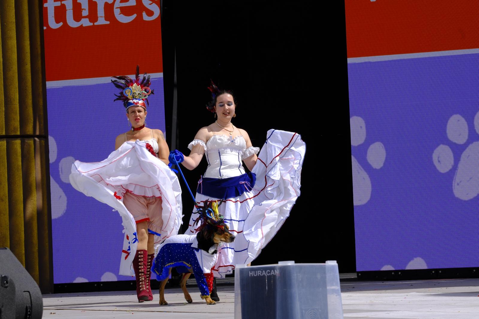 El carnaval canino de la capital grancanaria, en imágenes