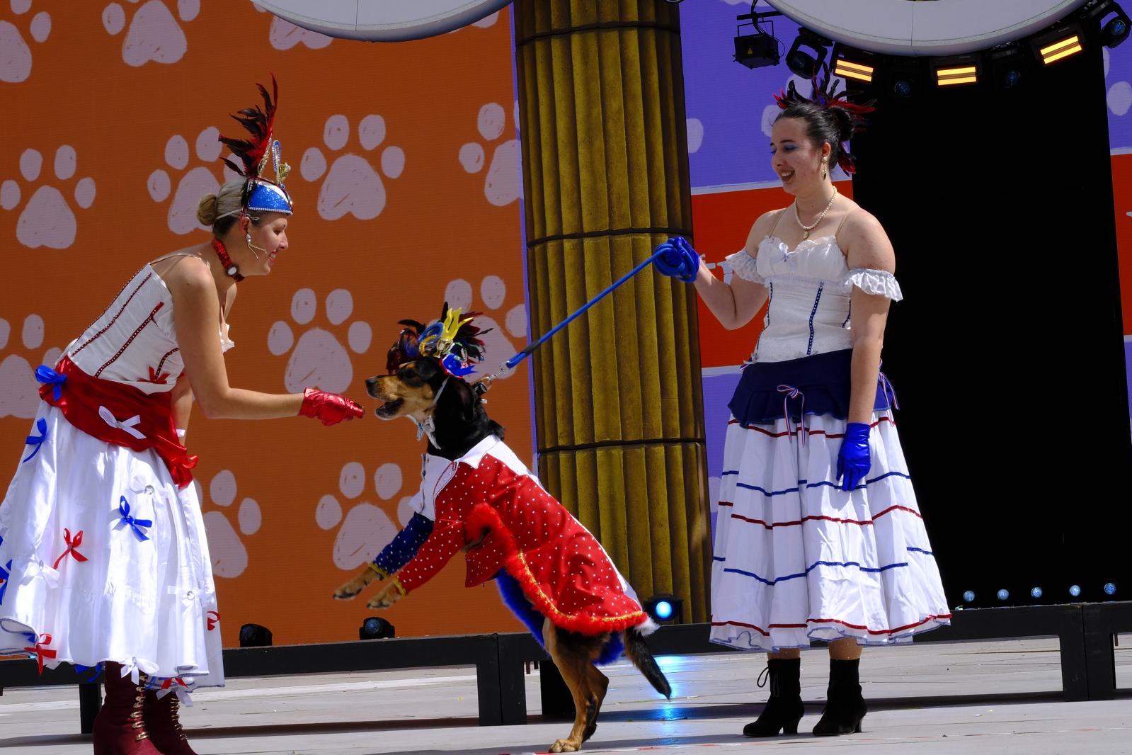 El carnaval canino de la capital grancanaria, en imágenes