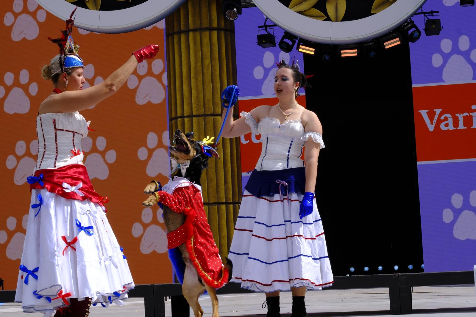 El carnaval canino de la capital grancanaria, en imágenes