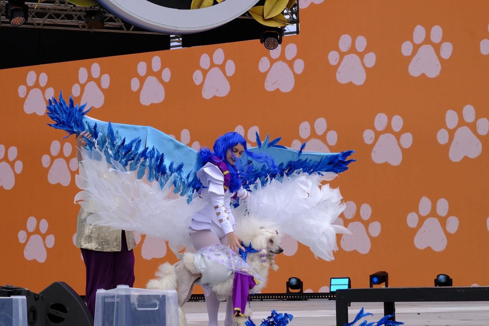 El carnaval canino de la capital grancanaria, en imágenes