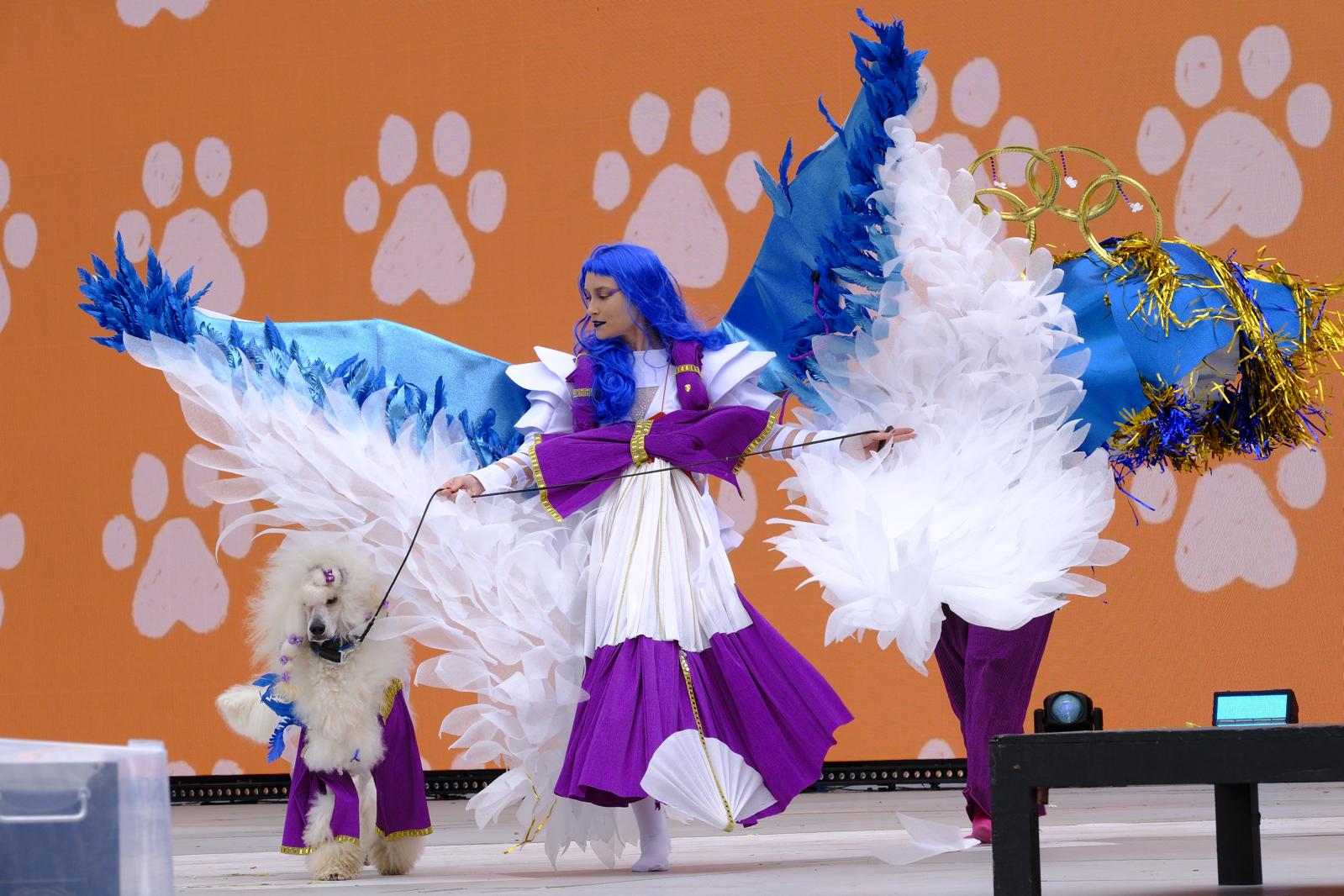 El carnaval canino de la capital grancanaria, en imágenes