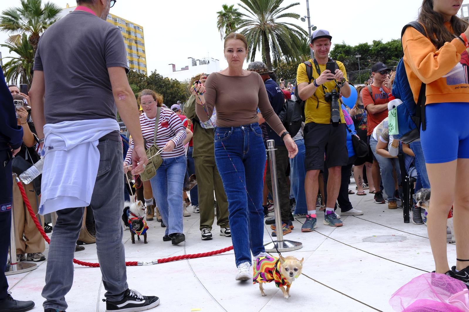 El carnaval canino de la capital grancanaria, en imágenes