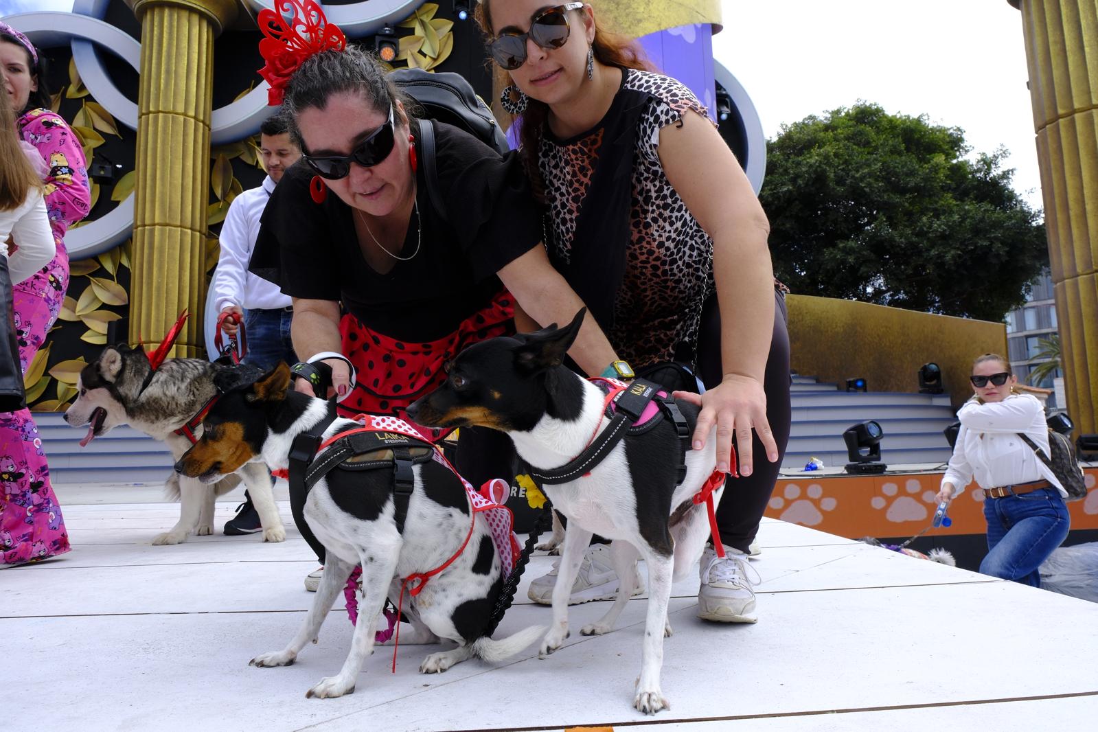 El carnaval canino de la capital grancanaria, en imágenes