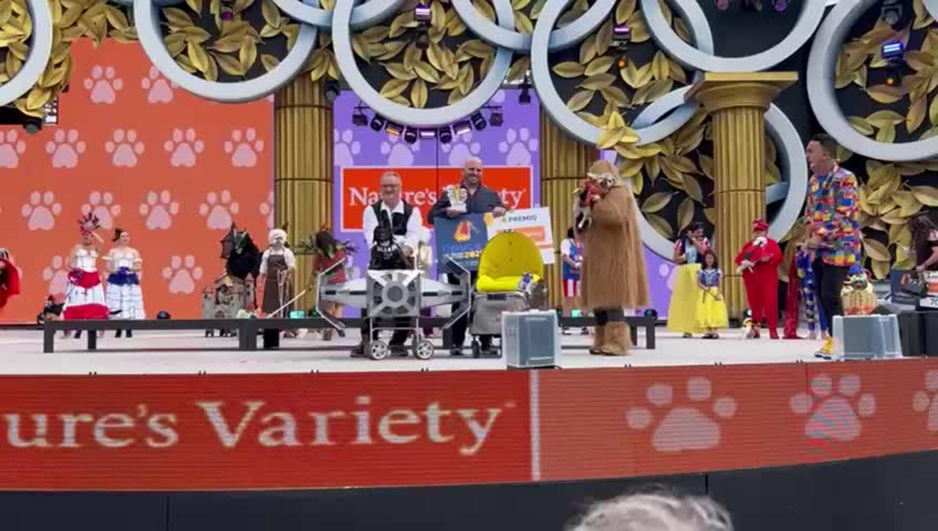 El carnaval canino ya tiene ganadores