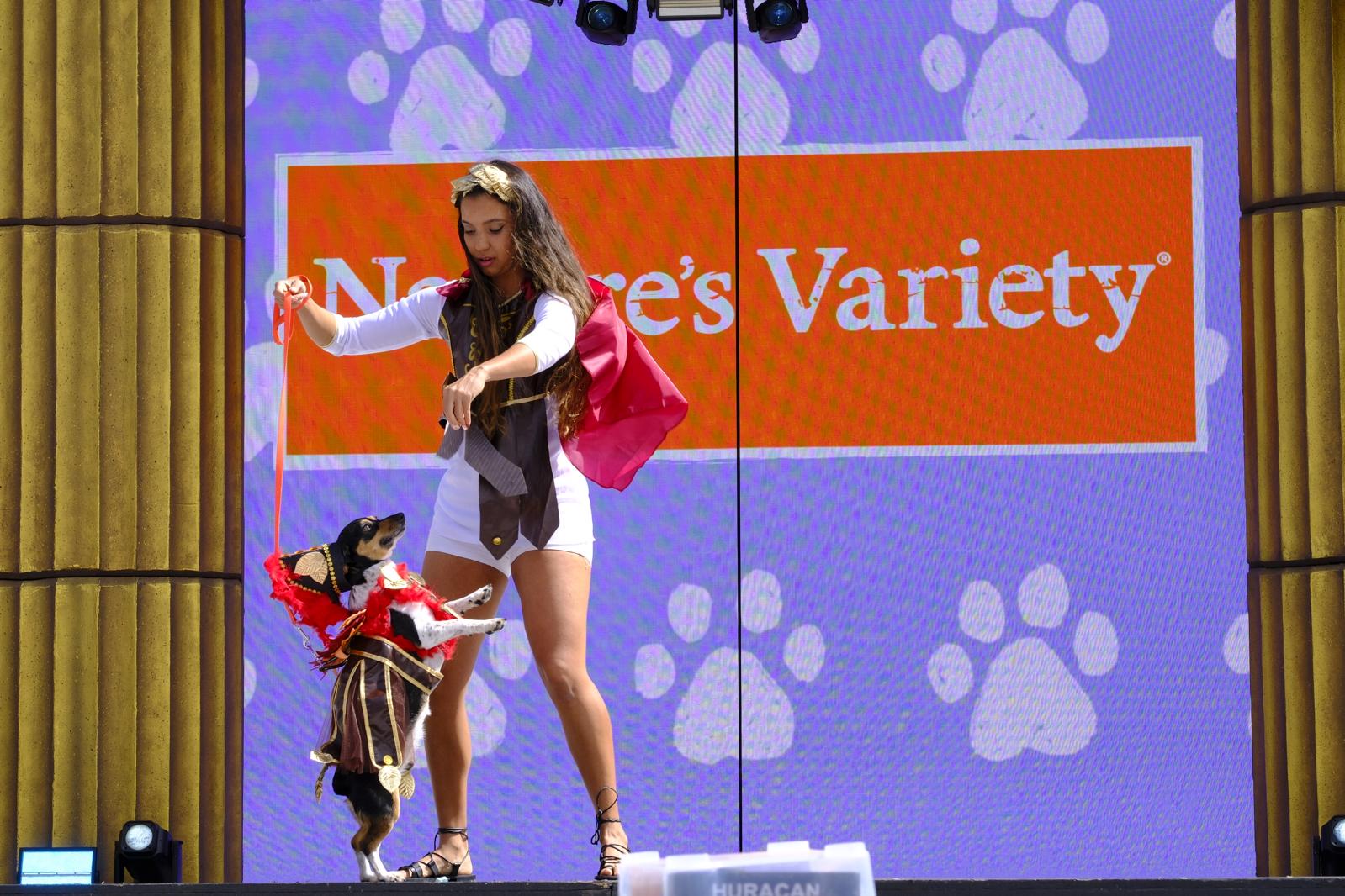 El carnaval canino de la capital grancanaria, en imágenes