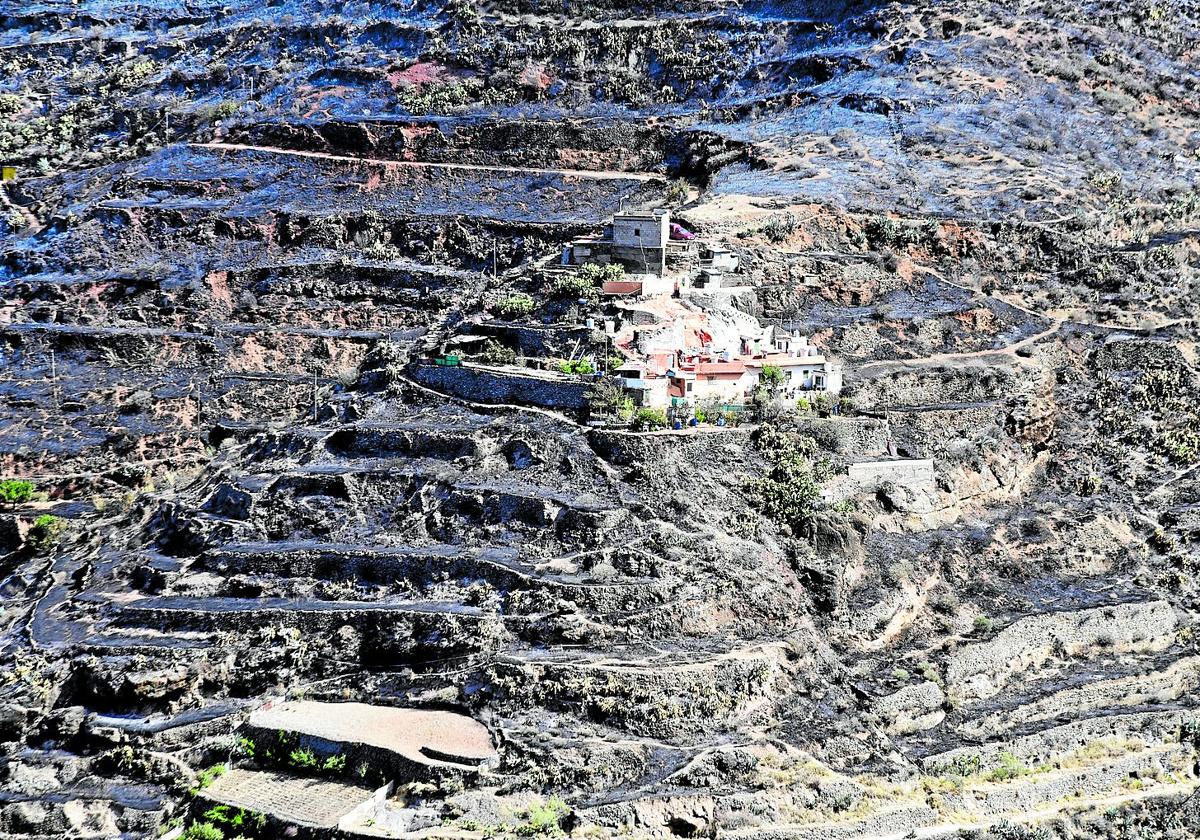 Imagen de una finca y viviendas parcialmente calcinadas en Artenara.