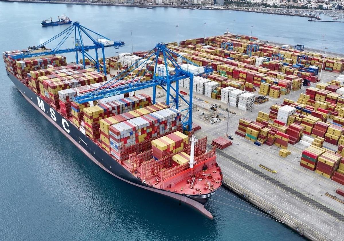 Imagen del 'MSC Allegra', el mayor portacontenedores del mundo, atracado en el puerto de Las Palmas.