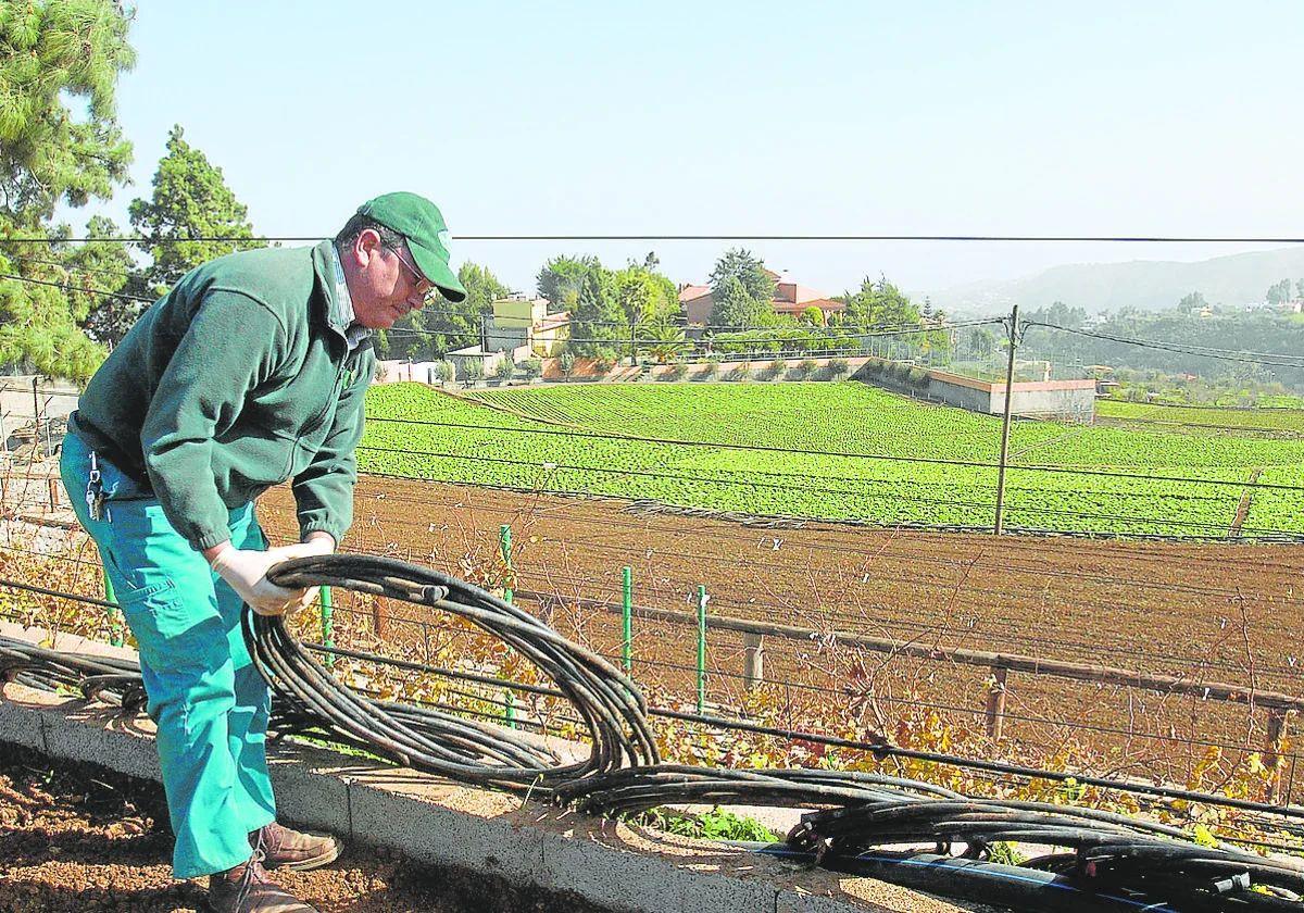 Imagen de una zona agrícola en Gran Canaria.