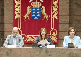 Nieves Lady Barreto (centro), en el foro participativo organizado en el Parlamento de Canarias.