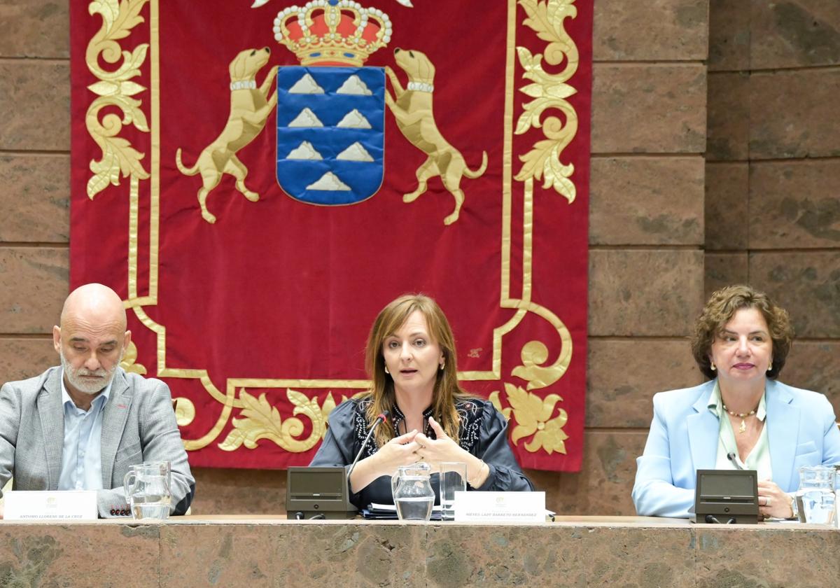 Nieves Lady Barreto (centro), en el foro participativo organizado en el Parlamento de Canarias.