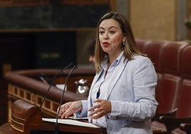 La diputada socialista, Dolores Corujo, en una imagen reciente en el Congreso de los Diputados.