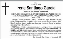 Irene Santiago García