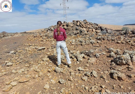 Una agente de Medio Ambiente, en una de las torretas contra las que se estalló un guirre este mes de febrero.