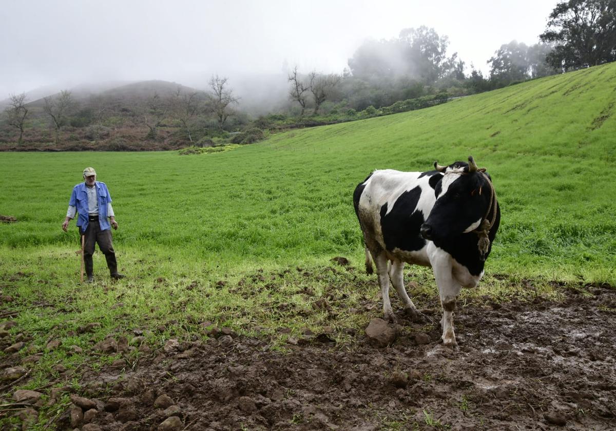 El campo agradece la lluvia, pero le sabe a poco