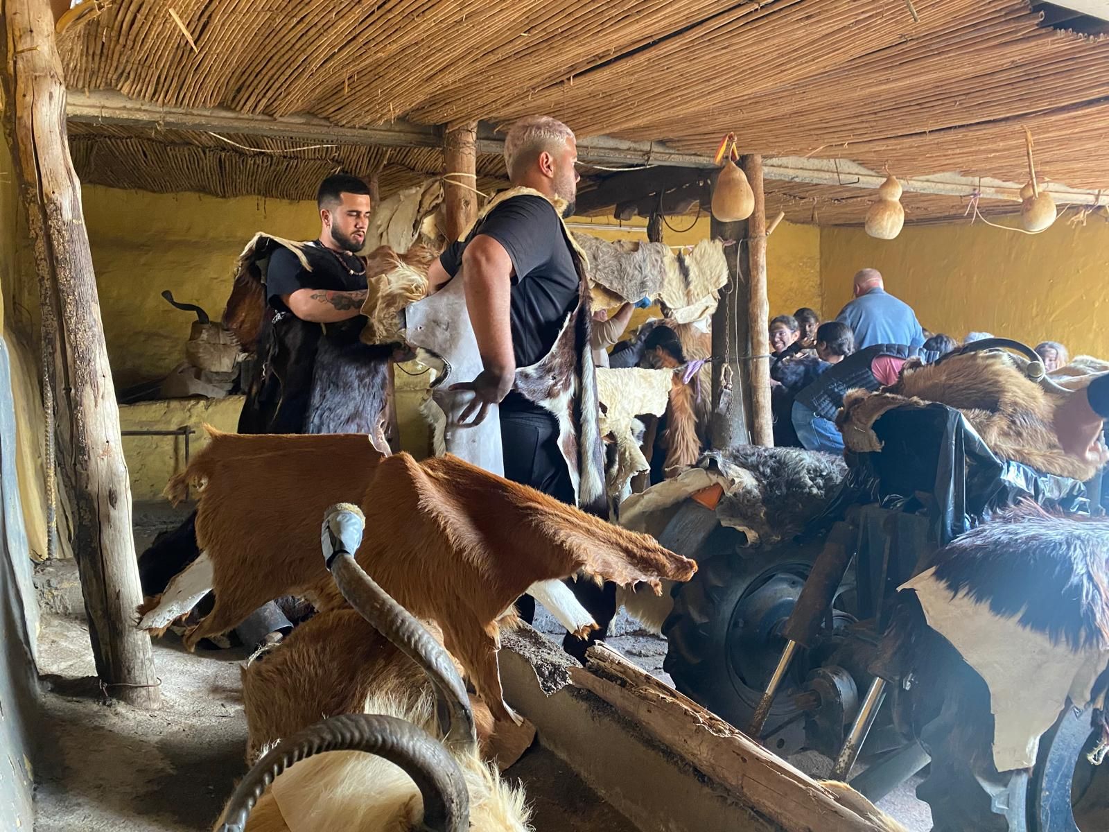 Estampida carnavalera de machos y cabras en La Aldea de San Nicolás