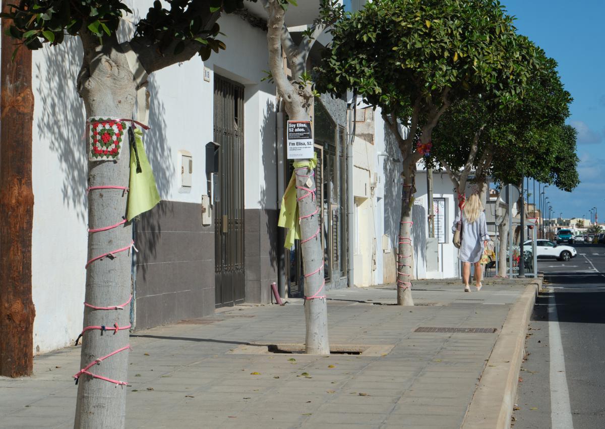 Imagen secundaria 1 - Arriba, Iris Daute, una de las ciudadanas que pide que se queden los arbolitos donde crecen desde hace veinte años. Abajo, los árboles con la decoración de Tejedoras Subversivas y el ficus Lola, con su historia en español e inglés.